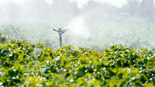 Landwirte sollen vermehrt für Wasser zahlen