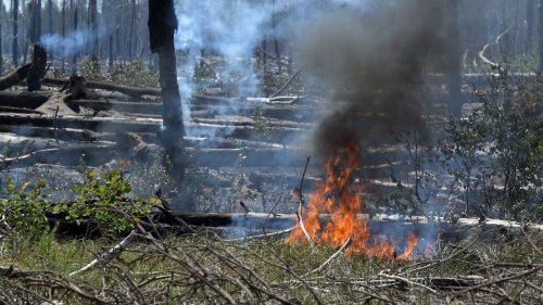 Waldbrand in Brandenburg wird noch Tage dauern