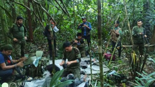 Seit 40 Tagen vermisste Kinder im Regenwald gefunden