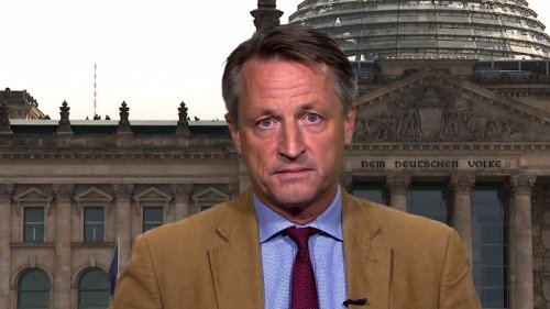 AfD "verhöhnt gesunden Menschenverstand und ihre Wähler"