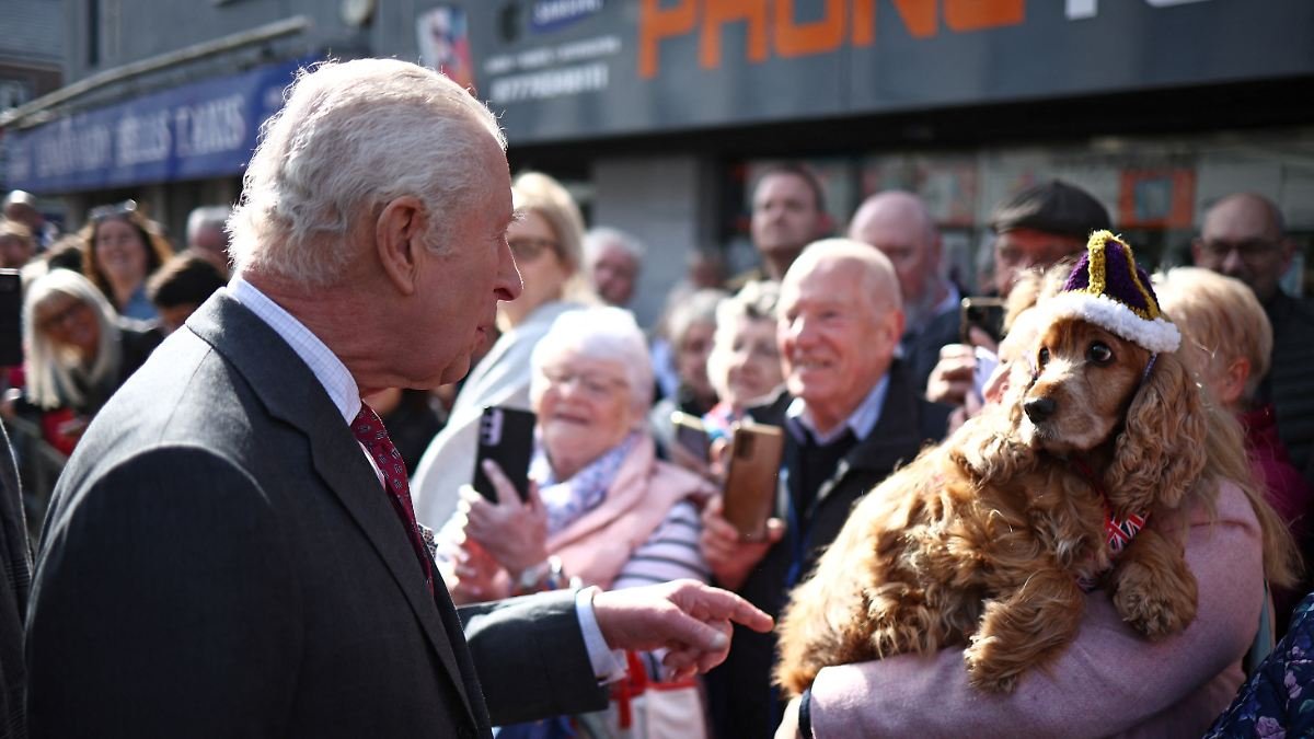 Charles wird von gekröntem Hund begrüßt