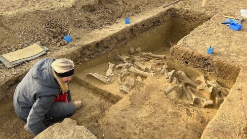 Forscher stoßen Mammut-Schlachtplatz in Österreich