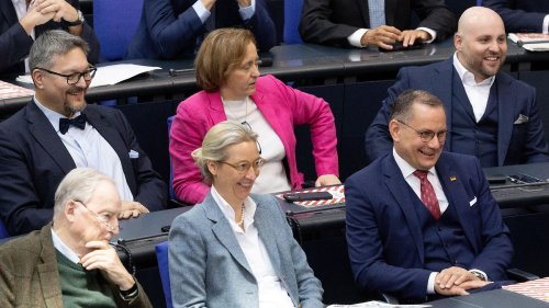 AfD führt mit neuem Höchstwert erstmals Umfrage an