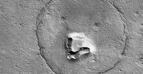 Was ein "Bärengesicht" auf dem Mars zu suchen hat