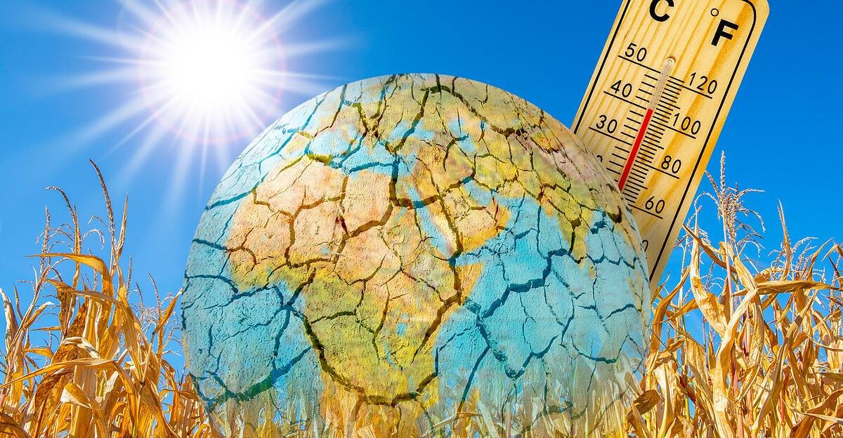 Klimawandel steigert Hautkrebsrisiko: Jeder zweite 70-Jährige betroffen