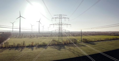 Ausgleichsflächen für Großprojekte: Vereins-Modell könnte Verfahren beschleunigen