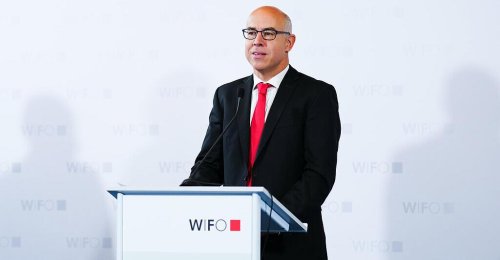 Wifo-Chef Felbermayr: Bis 2029 "erhebliche Sparmaßnahmen" notwendig