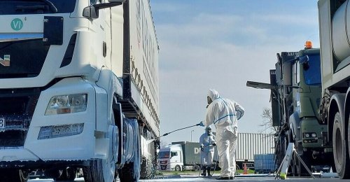 Maul- und Klauenseuche: Weiterer Fall in Ungarn nahe Mittelburgenland