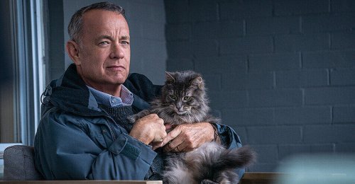 "Ein Mann namens Otto": Wenn sich Hollywoodstar Tom Hanks nach dem Tod sehnt