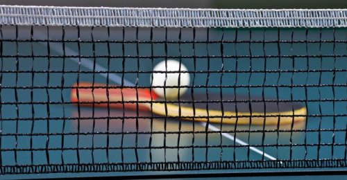 Tischtennis: Froschberg-Frauen doch noch CL-Gruppensieger