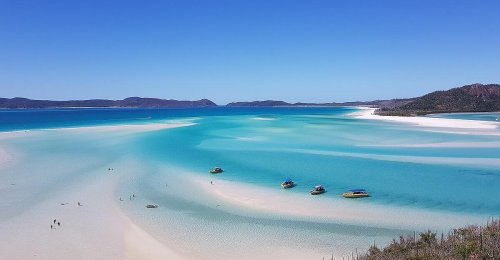 Gelber Schaum und kranke Surfer: Algenblüte in Australien?