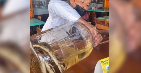 Video: Hier wird Giftschlangen-Tequila serviert