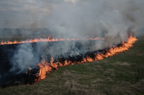 Más de 1.000 hectáreas quemadas por incendio cerca de frontera española