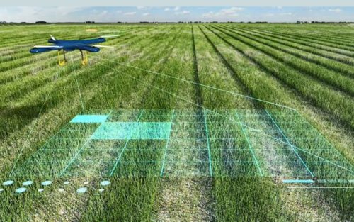 How Artificial Intelligence will transform Nigeria’s agriculture, other sectors in 2022