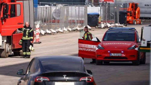 В Германии экоактивисты устроили пожар из-за расширения завода Tesla