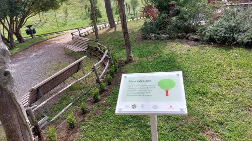 Mille nuovi alberi piantati da La Doria