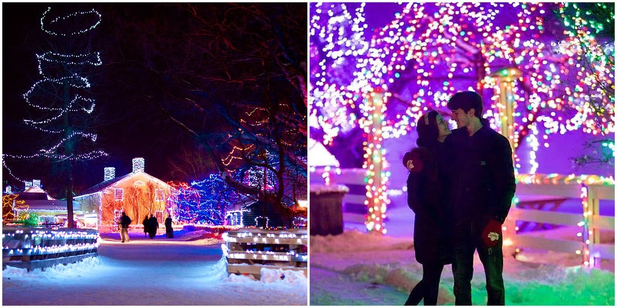 Ontario's Alight At Night Opens This Weekend & It Looks So Magical