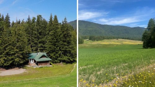 This Cabin For Sale In BC Comes With A Sprawling Pasture & It's In A Stunning Small Town