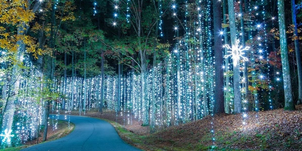 This Georgia Drive-Thru Holiday Show Is One Of National Geographic’s Top 10 Light Displays