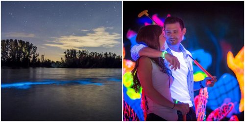 12 Cute And Romantic Date Ideas Near Orlando For You And Your Boo This Summer