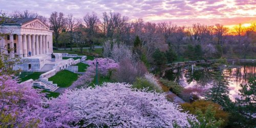 This magnificent cherry blossom festival near Toronto has pink boat rides past dreamy blooms