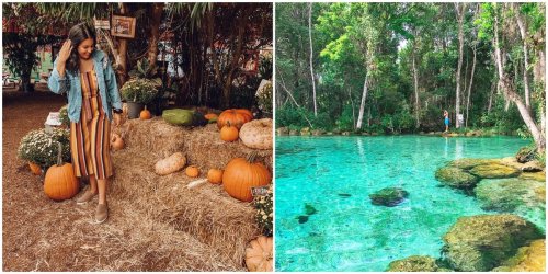 20 Short And Sweet Road Trips From Tampa That Aren’t To Walt Disney World