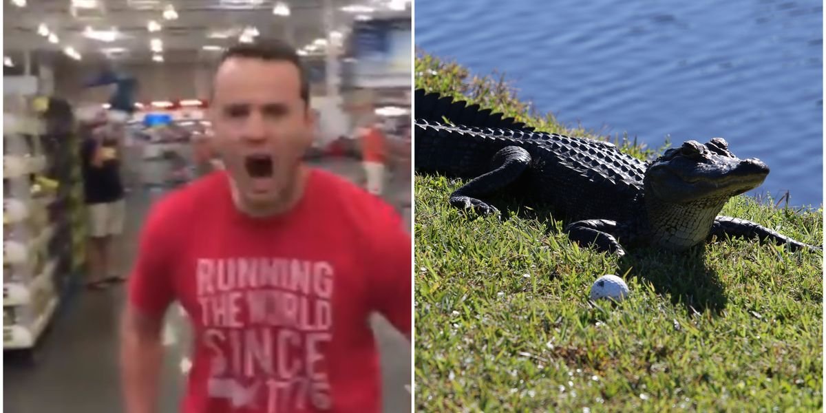 These Are The Most Outrageous 'Florida Man' Headlines Of 2020