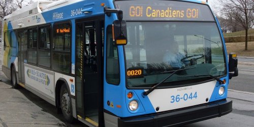 Québec veut que la STM retire les « Go! Habs Go! » de ses bus et voici pourquoi