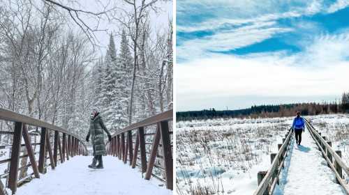 8 Ontario Boardwalk Trails That Are More Magical In The Winter