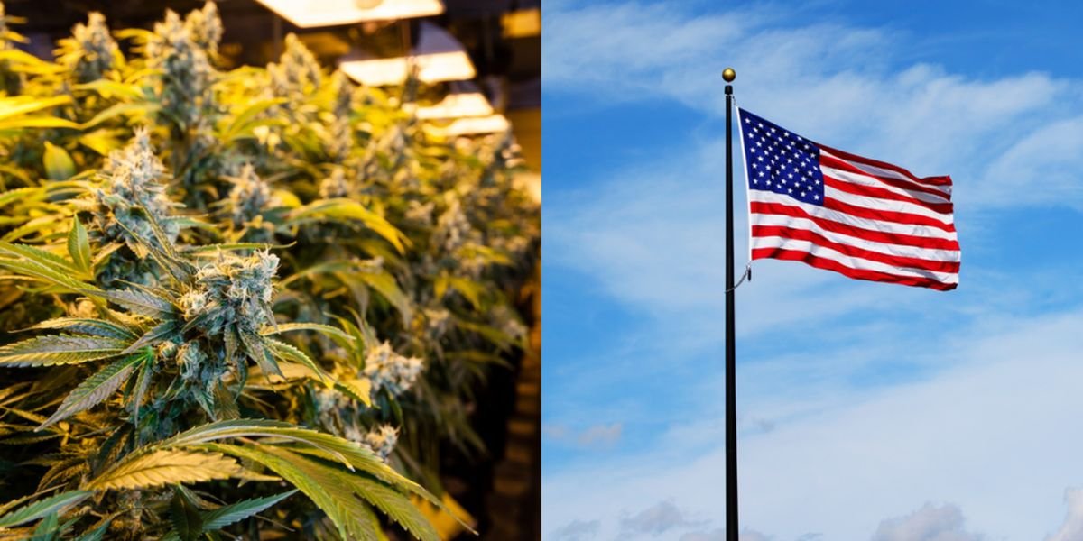 Democrats Are Pushing To Legalize Weed At The Federal Level This Year
