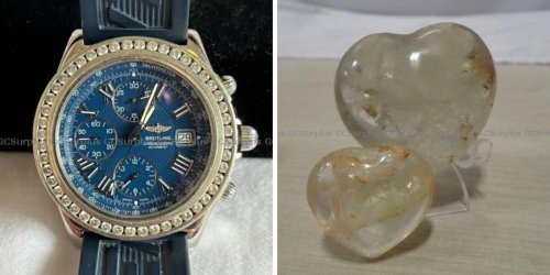The Government Is Auctioning Off  Random Stuff Right Now & You Can Get Luxury Items For Cheap