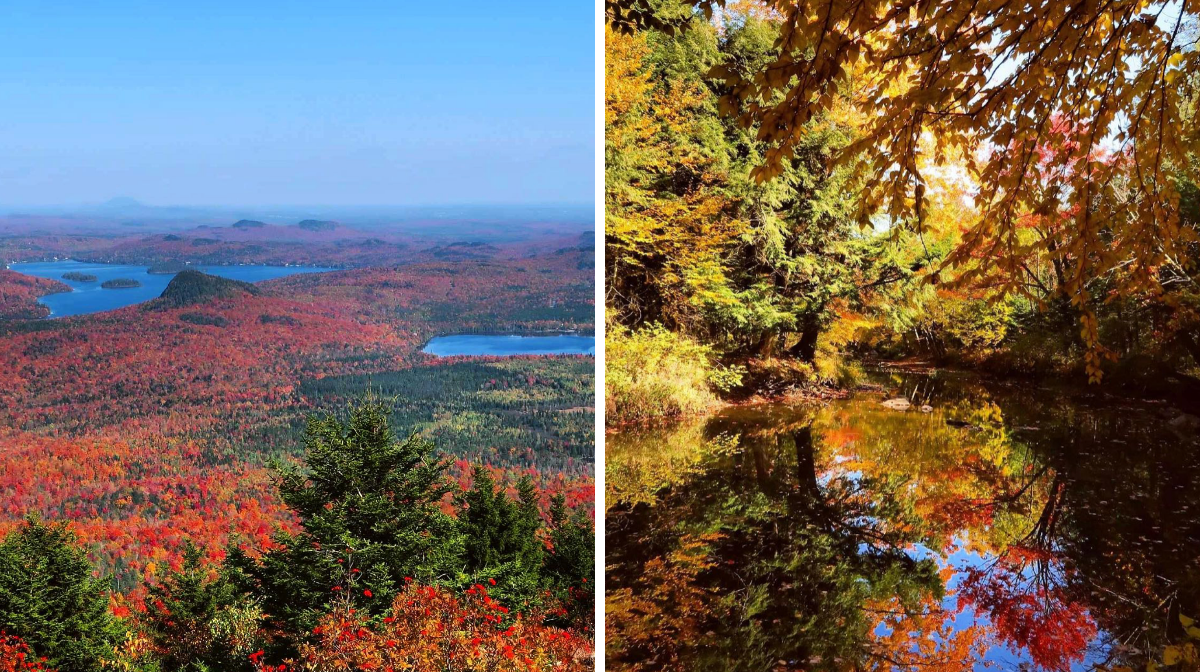 Cette carte te montre où aller au Québec pour admirer les plus belles couleurs cet automne