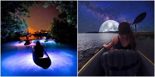 6 Places In Florida Where You Can Kayak Under The Moonlight