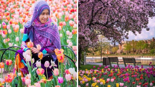 This Ontario spot was named among the top 5 places in the world to see flowers this spring