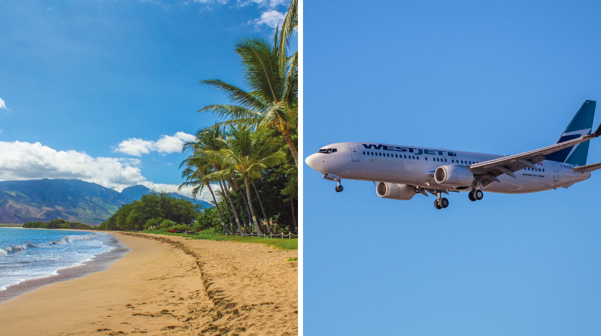 Des vols aller-retour de Montréal à Hawaï sont à 513$ et c'est les vacances dont tu rêvais
