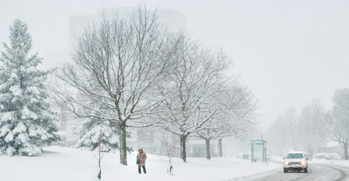 Jusqu'à 35 cm de neige et des rafales à 90 km/h sont attendus dans l'est du Québec