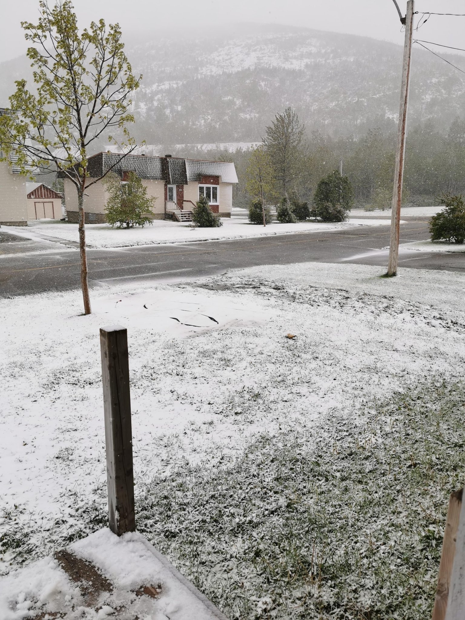 Après la canicule, des Québécois se réveillent sous la neige ce jeudi (PHOTOS)