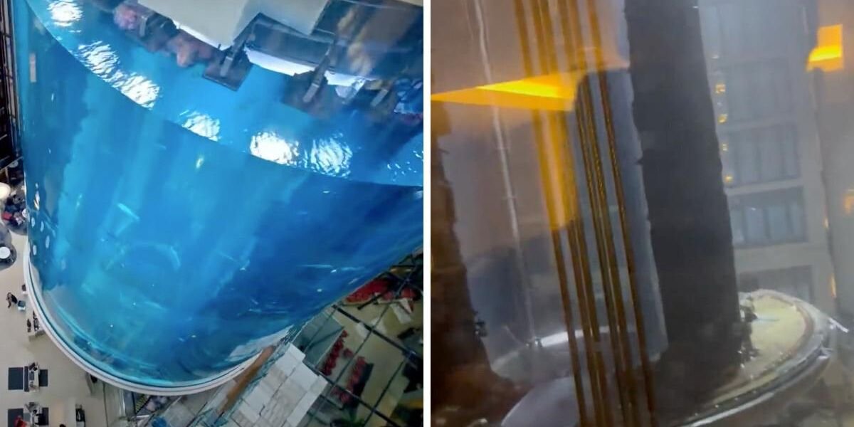 A Giant Aquarium Exploded Inside A Hotel & There Were Fish Absolutely Everywhere (VIDEOS)