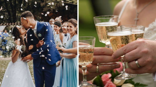 A Groom's Mom Broke The 'No Speeches' Rule At A Wedding & The Bride's Getting Divorce Advice