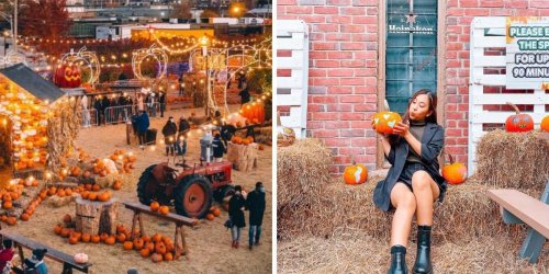 8 Things To Do In Toronto This Weekend: September 30 to October 2