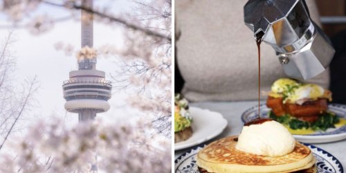 These are the 11 best things to do in Toronto this spring