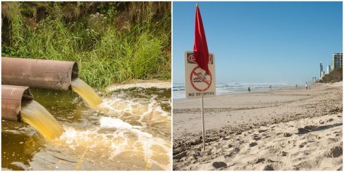 A Ton Of Florida Beaches Are Covered In Poop Water Right Now