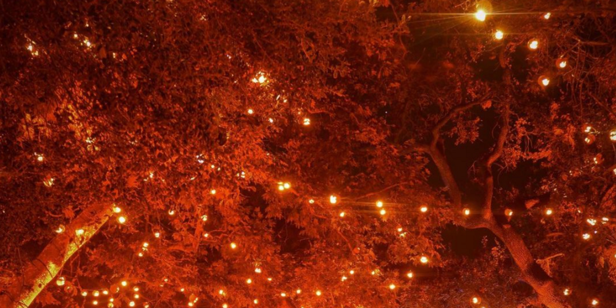 You Can Drive Through A Sea Of Pumpkins At This Epic Jack-O'-Lantern Event In Los Angeles
