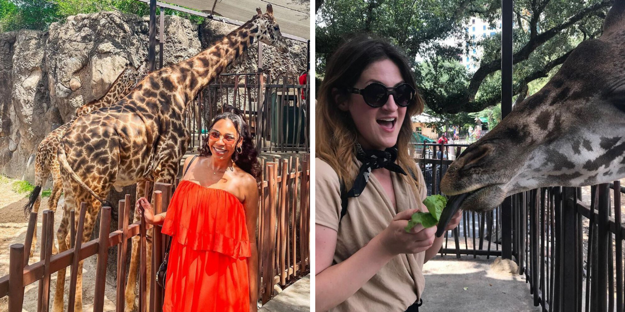 This Boozy Adult's Only Party At The Houston Zoo Gives You Access To The Park After Hours