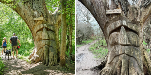 This Ontario Hiking Trail Is A Fairytale Walk & You'll Spot An Enchanted Oak Tree