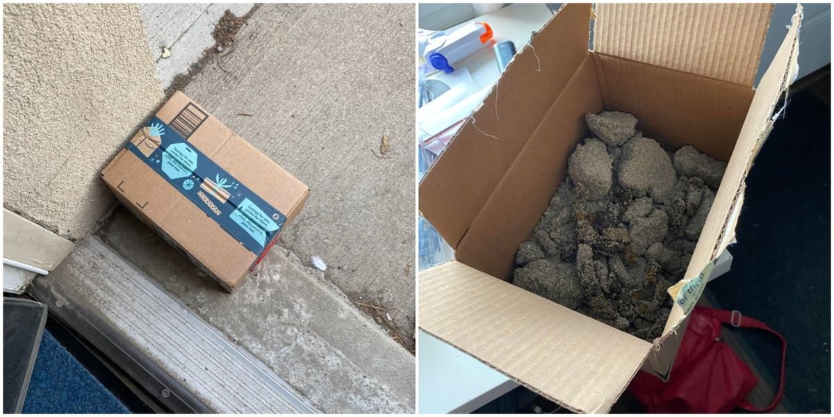 Ontarian Leaves Package Of Poop On Porch It Apparently Got Stolen Only 40 Mins Later