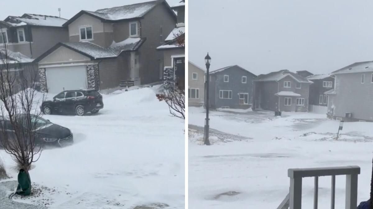 Canada's Top Pornhub Searches Were Revealed | Flipboard