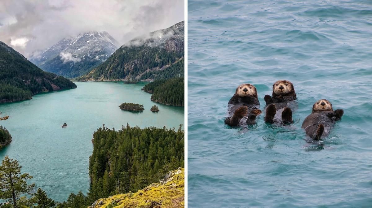 These Dreamy National Parks Are Totally Underrated & You Can See Them For Free Next Week