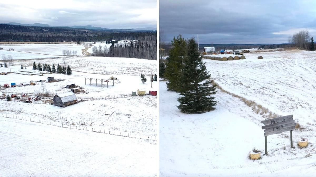 This Huge Farm In BC Is For Sale & It's Still Cheaper Than The Average Condo In Vancouver