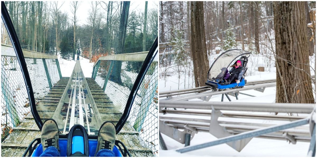Ontario’s 1-km Mountain Coaster Will Take You On A Wild Ride This Winter (VIDEO)